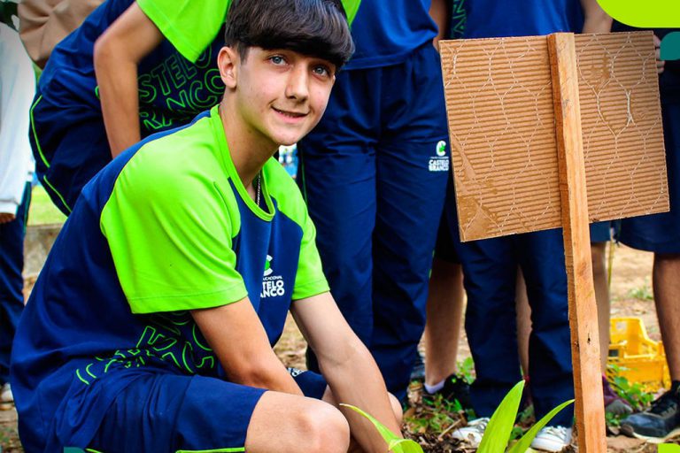 Leia mais sobre o artigo 🌳 No Dia da Árvore! 🌳