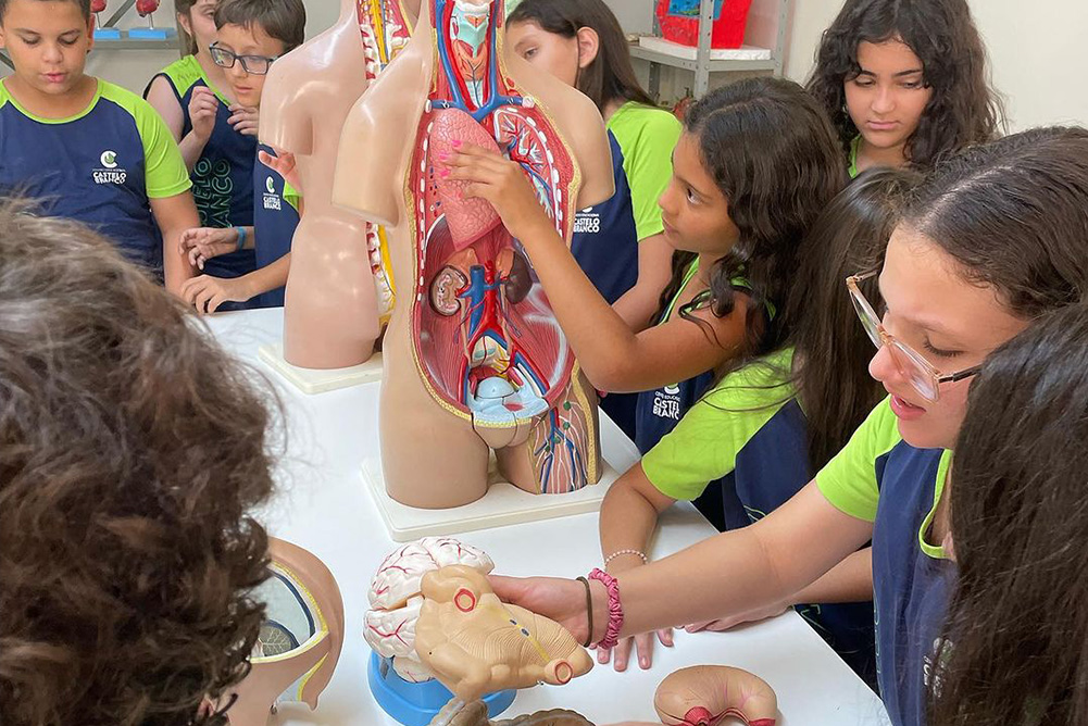 Você está visualizando atualmente Aula Prática no Laboratório de Ciências