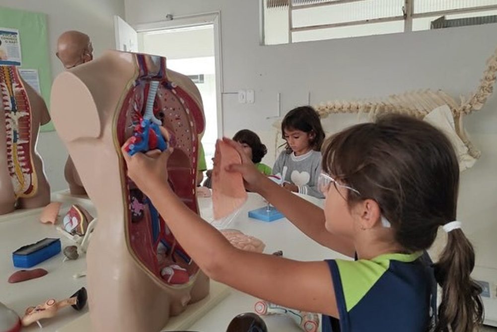 Você está visualizando atualmente Atividade sobre o corpo humano no laboratório