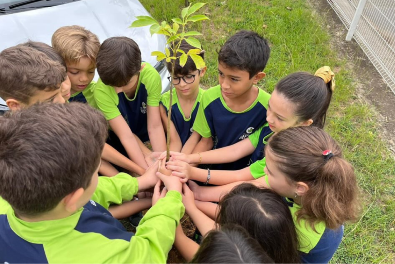 Leia mais sobre o artigo A importância do desenvolvimento sustentável