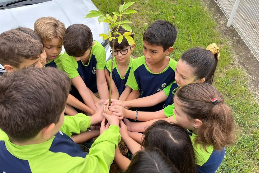 Você está visualizando atualmente A importância do desenvolvimento sustentável